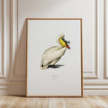Framed artwork of a pelican on a light wooden floor with a neutral wall background