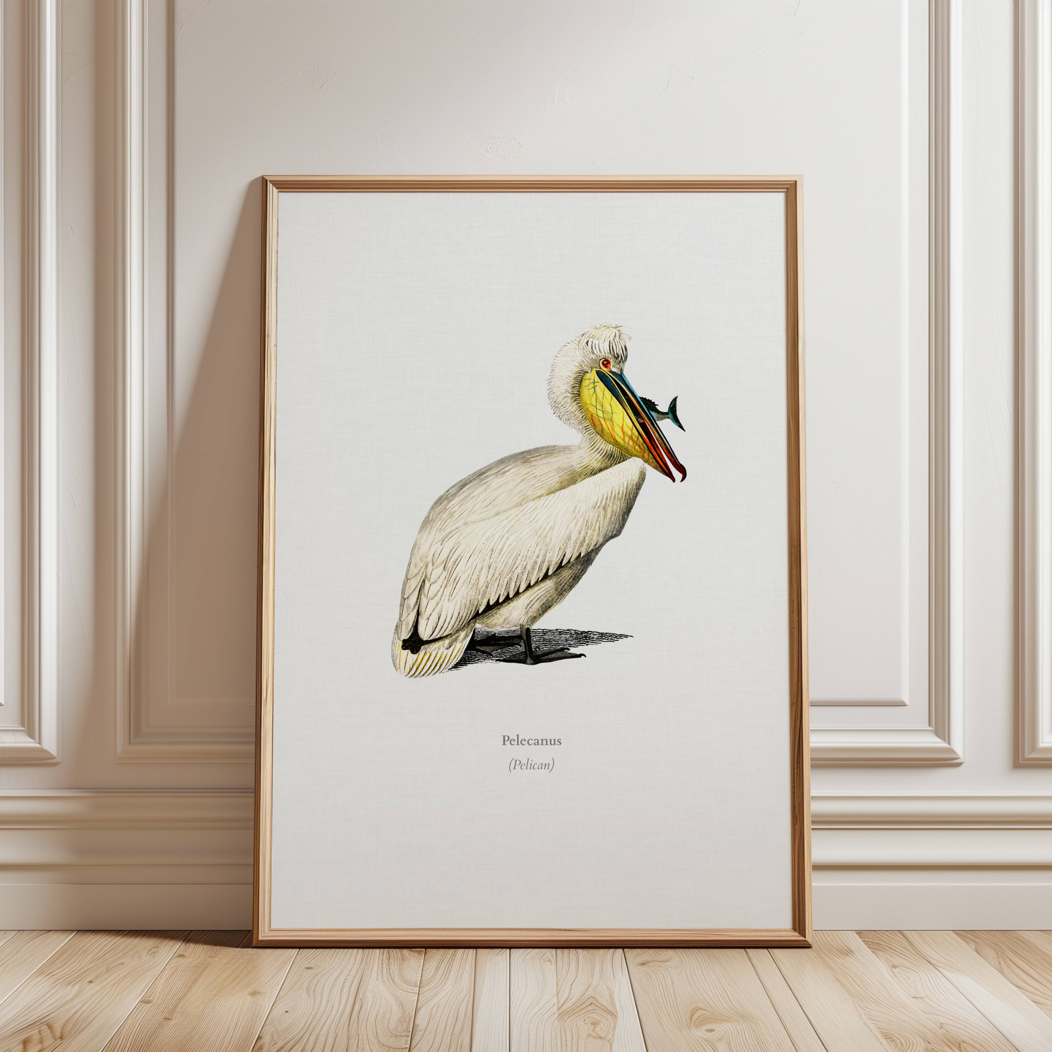 Framed artwork of a pelican on a light wooden floor with a neutral wall background