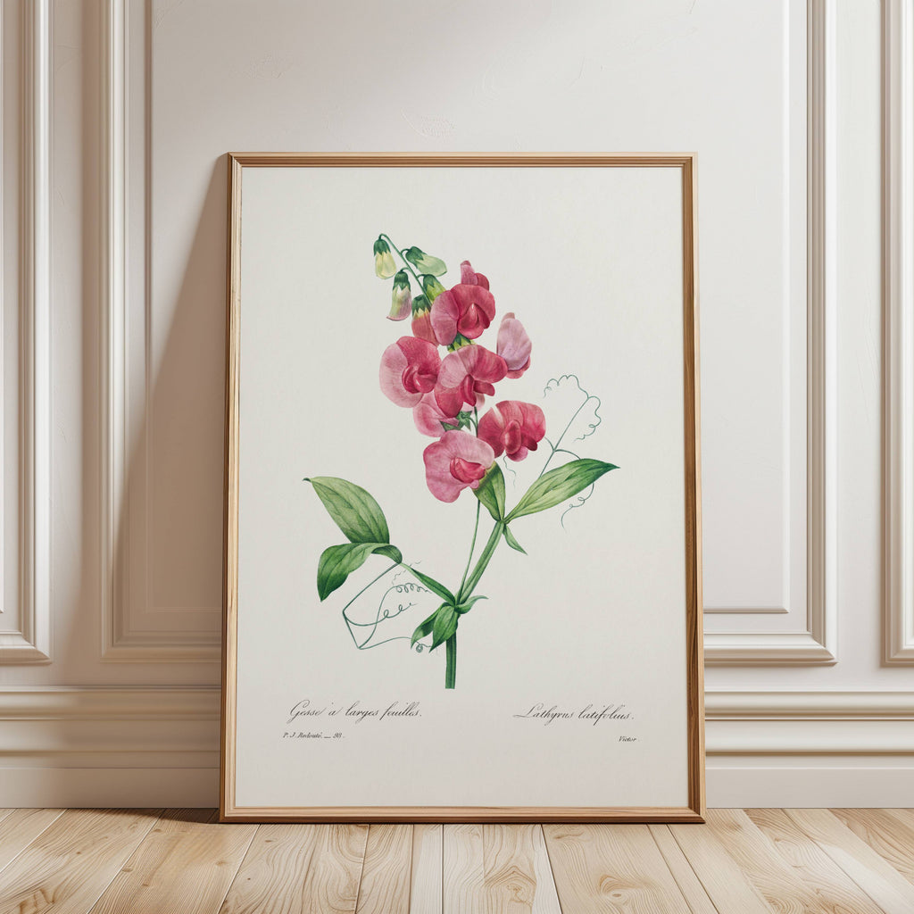 Framed print of a vintage illustration of pink flowers on a white wall.
