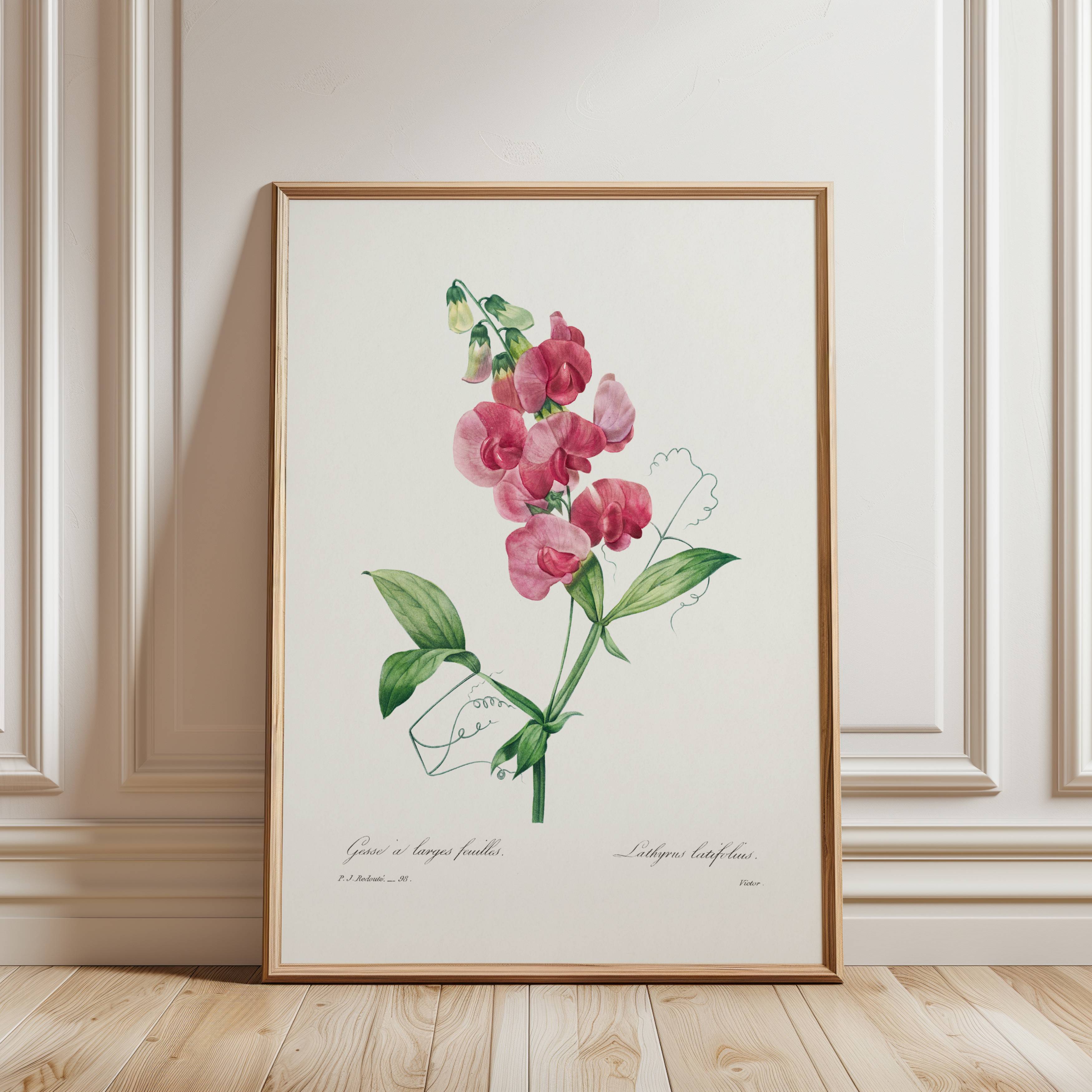 Framed print of a vintage illustration of pink flowers on a white wall.