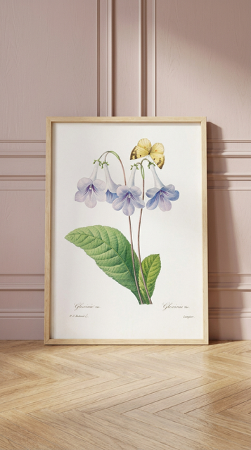 Gloxinia Vintage Flower Print