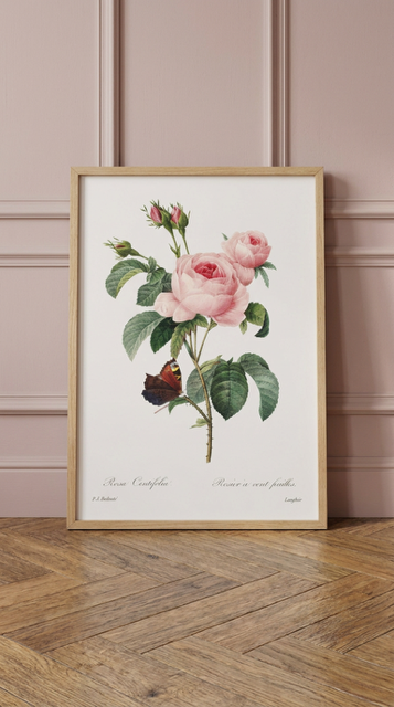 Rose Vintage Flower Print