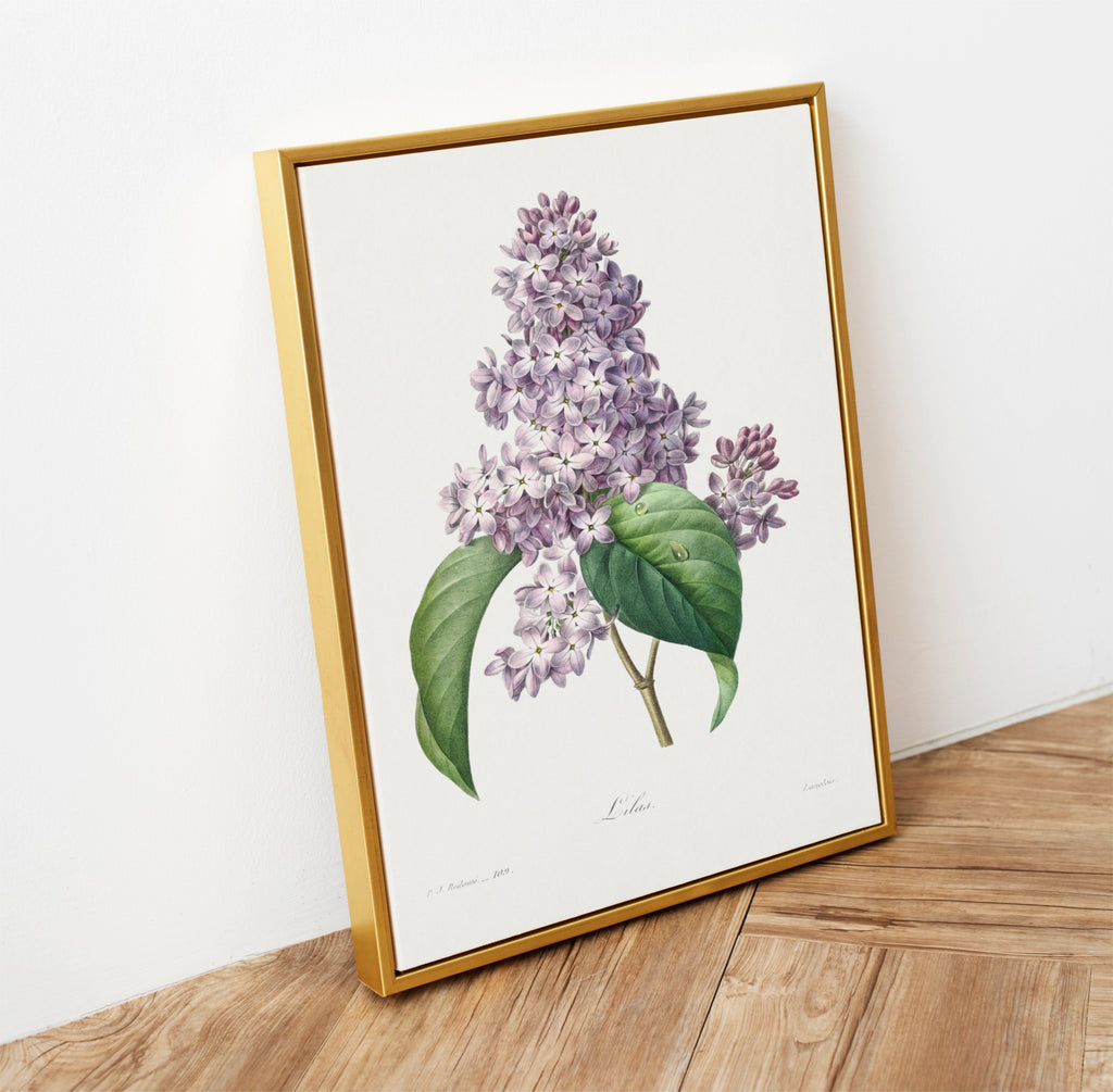 Framed botanical print of purple lilac flowers on a wooden surface with a white wall background