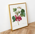 Framed botanical print of red berries and green leaves on a wooden surface.