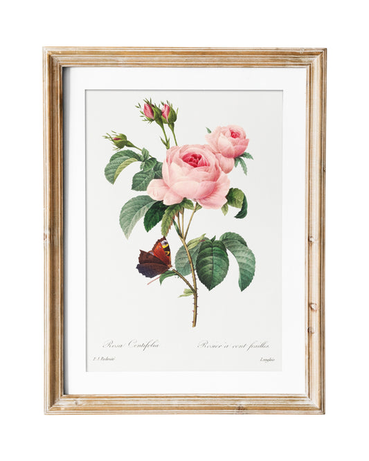 Rose Vintage Flower Print