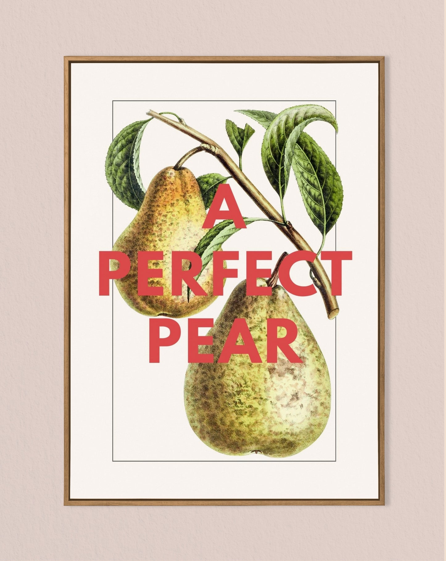 'A Perfect Pear' Vintage Pear Print