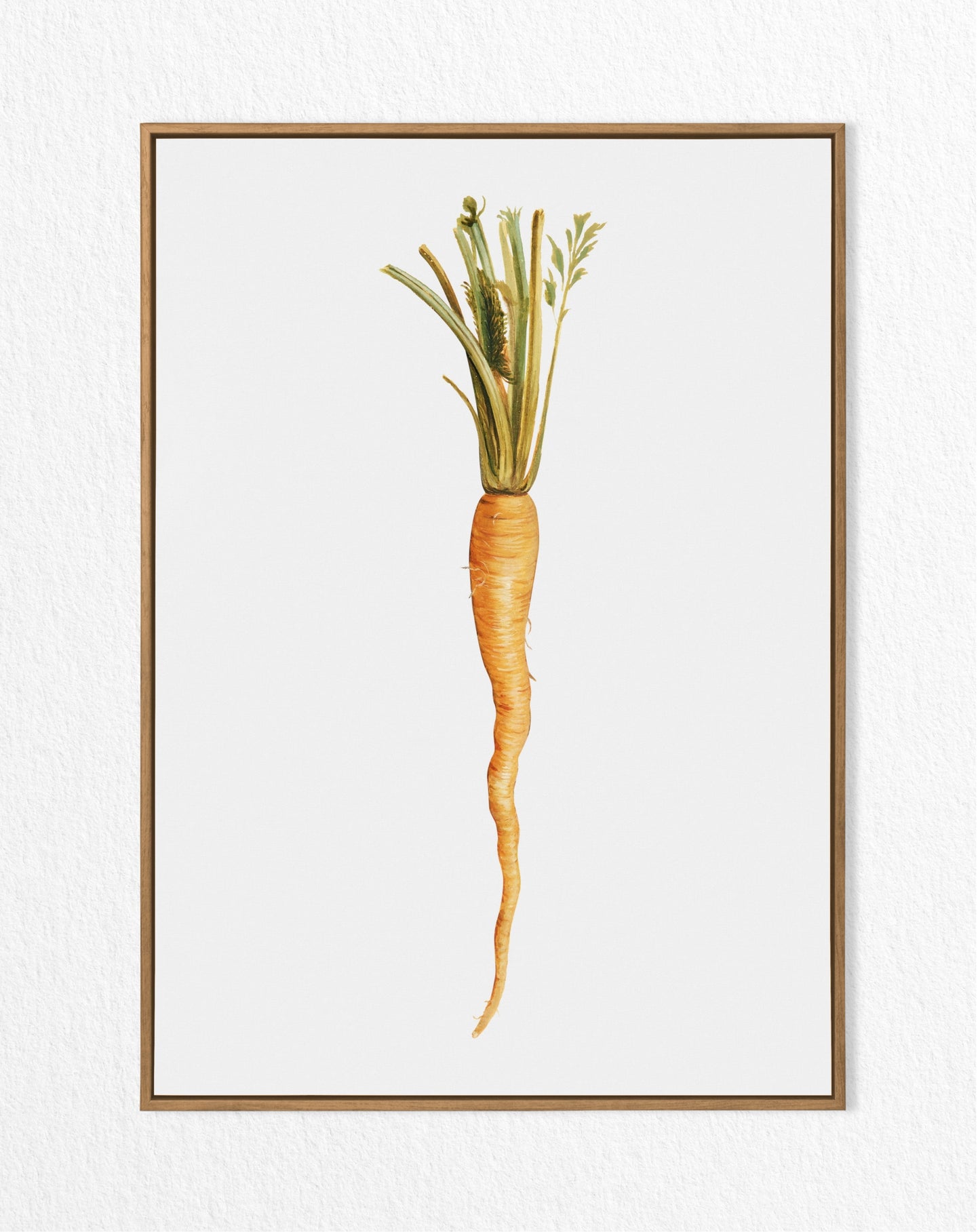 Vintage Carrot Print