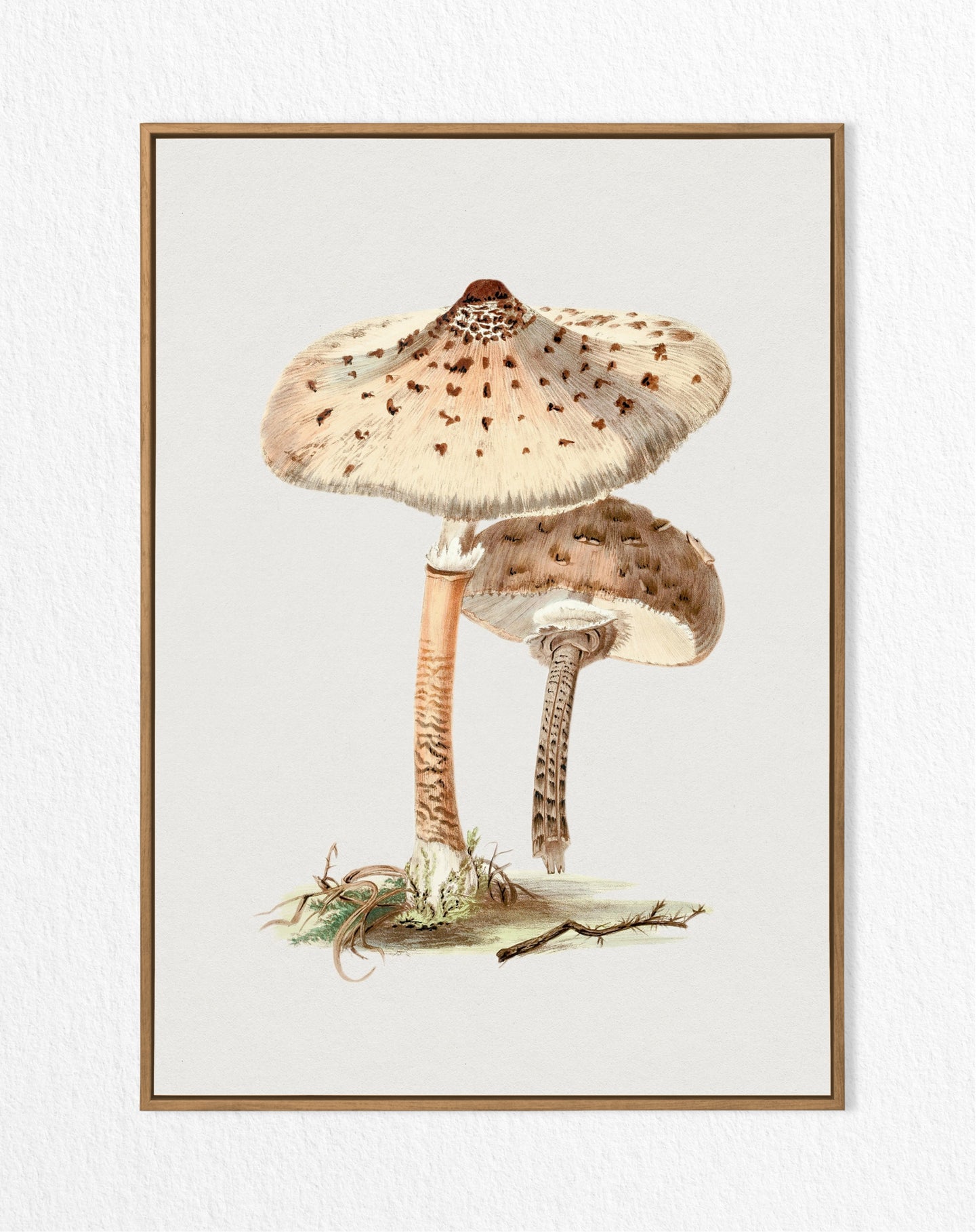 Vintage Mushroom Print