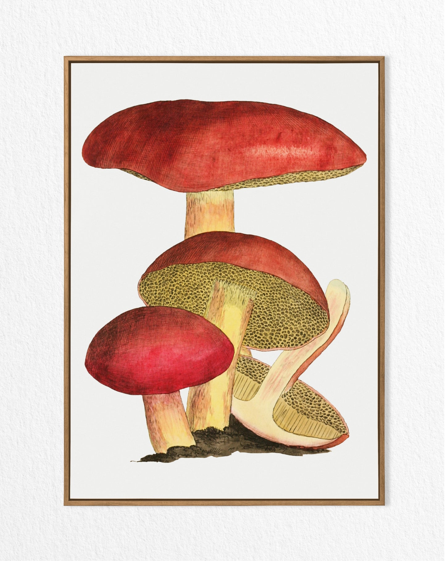 Vintage Mushroom Print