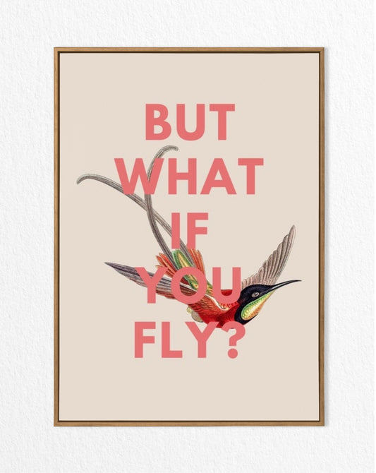 'But What If You Fly' Vintage Hummingbird Illustration Print