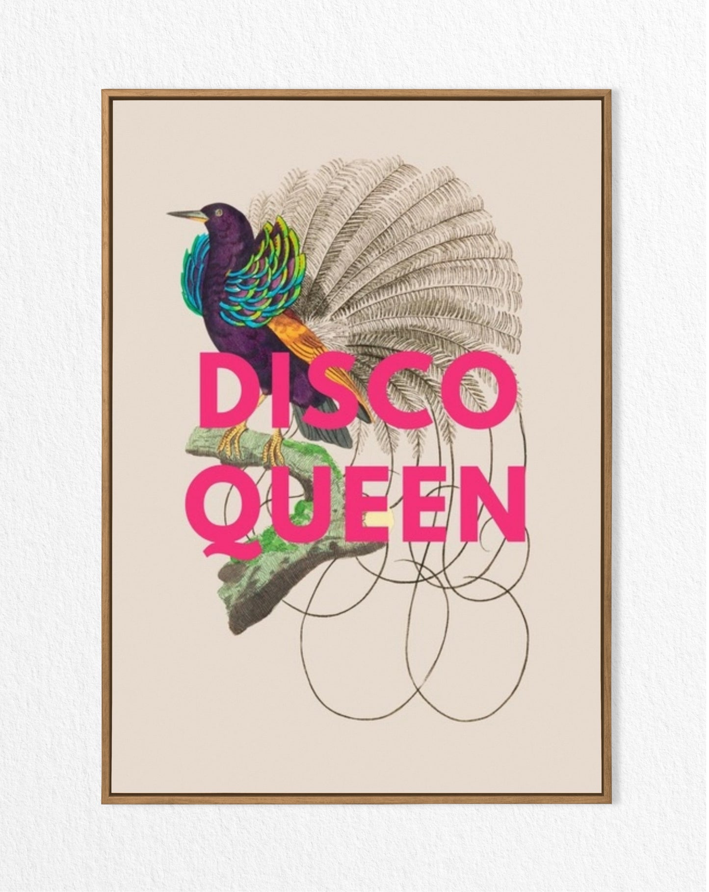 'Disco Queen' Vintage Bird Illustration Print