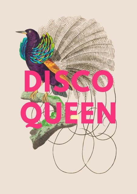 'Disco Queen' Vintage Bird Illustration Print