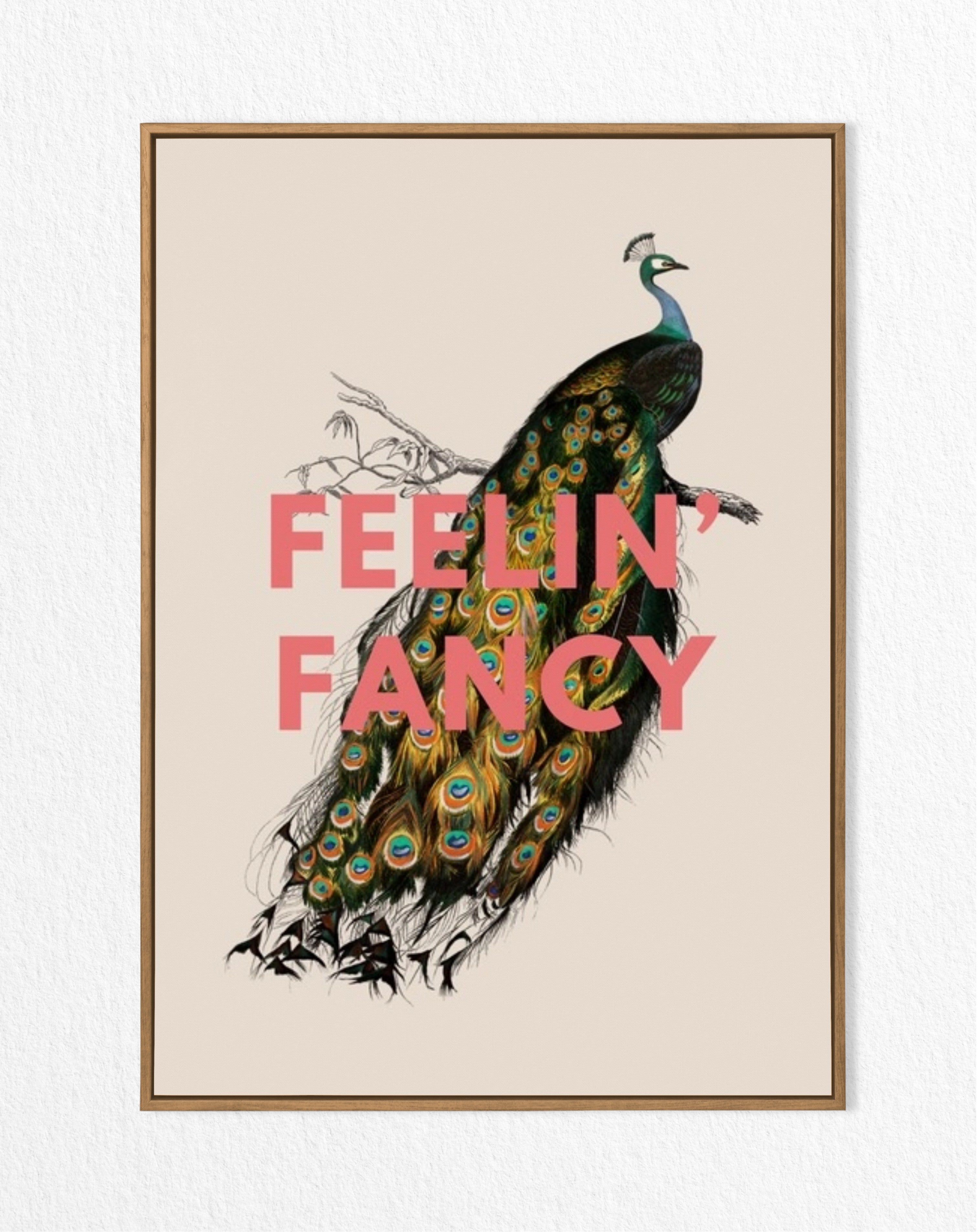 peacock print - feelin fancy - wall art