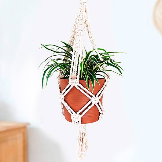 plant hanger kit