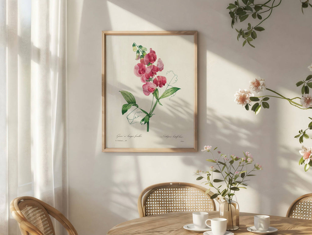 Sweet Pea Vintage Flower Print