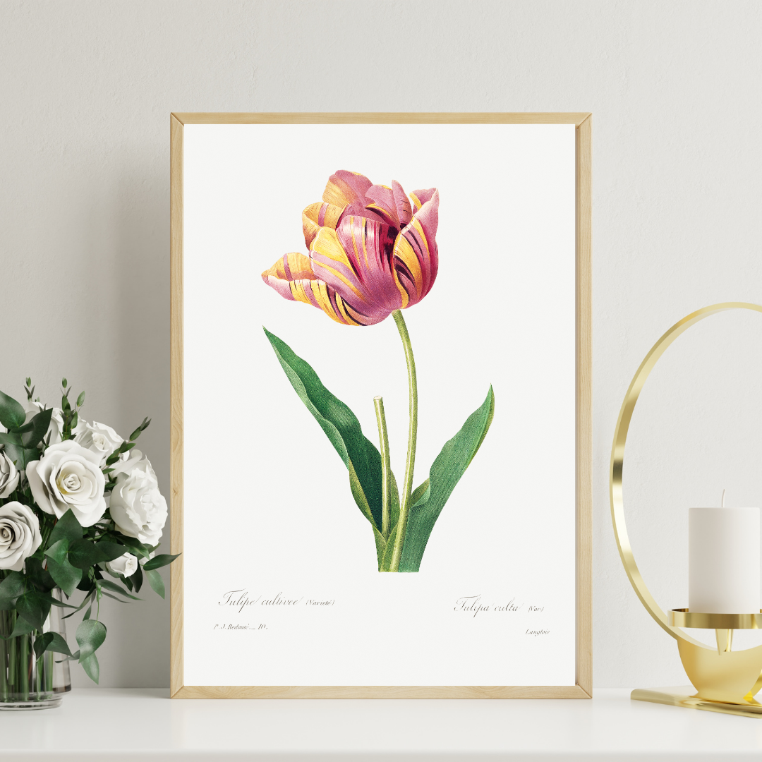 vintage flower - beautiful print - floral wall art - red tulip
