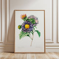 Aster Vintage Flower Print