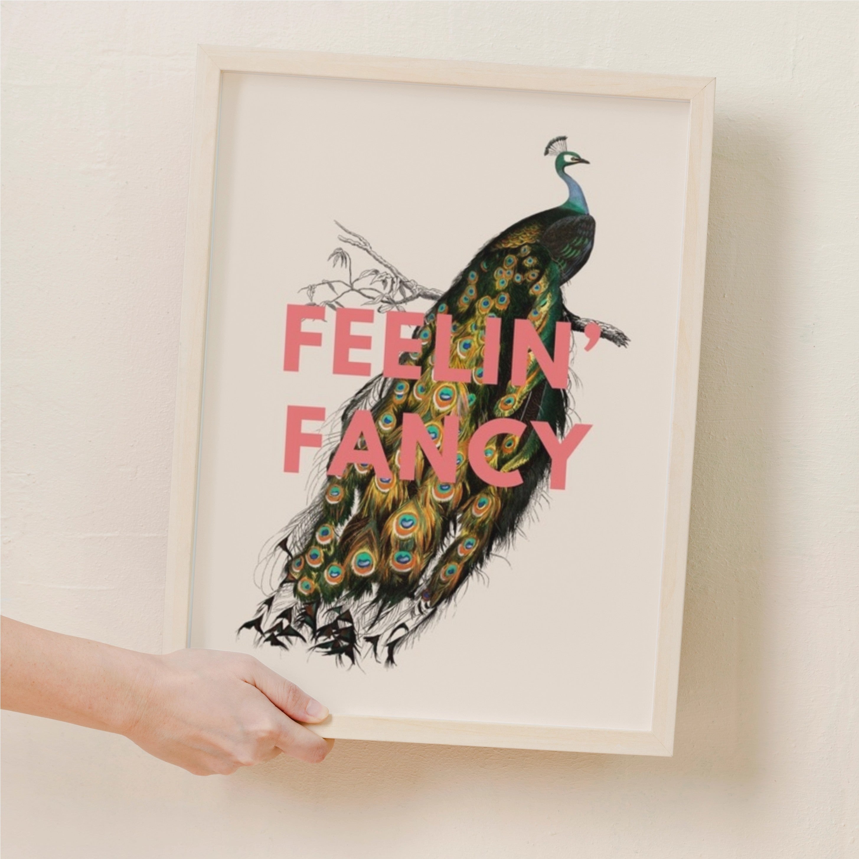 feelin fancy - fun wall art - peacock print