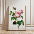 Rose Vintage Flower Print