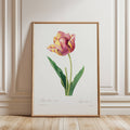 Tulip Vintage Flower Print